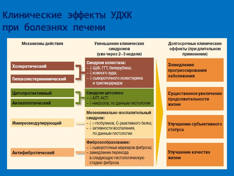 Клинические эффекты УДХК  при болезнях печени